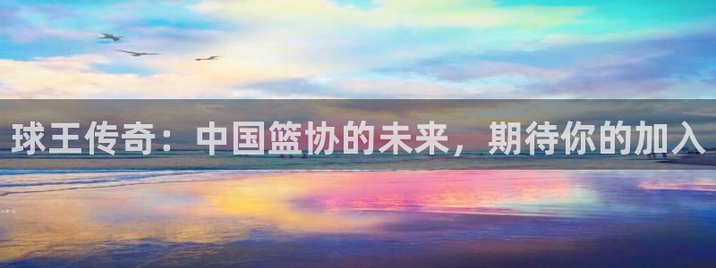 意昂2体育官方网站