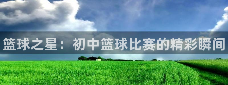  意昂2平台怎么样：篮球之星：初中篮球比赛的精彩瞬间