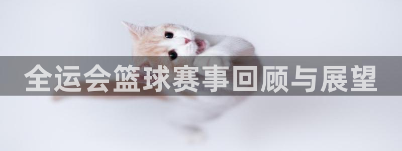 意昂2登录入口：全运会篮球赛事回顾与