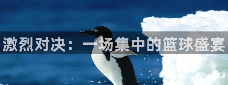  意昂2平台：激烈对决：一场集中的篮球盛宴