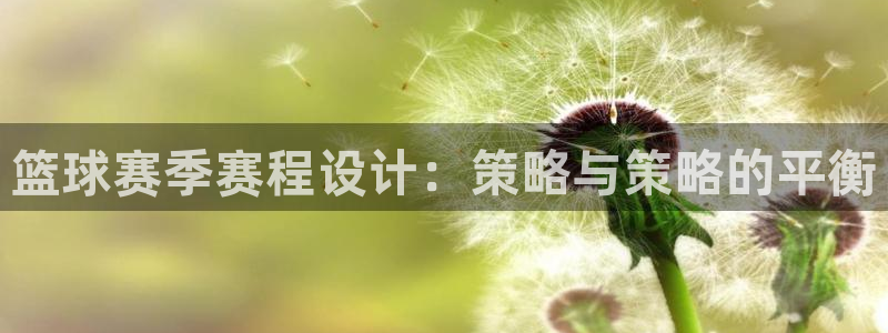 意昂2如何注册开户：篮球赛季赛程设计