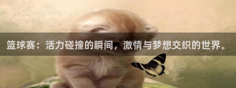 意昂2体育官方网站：篮球赛：活力碰撞
