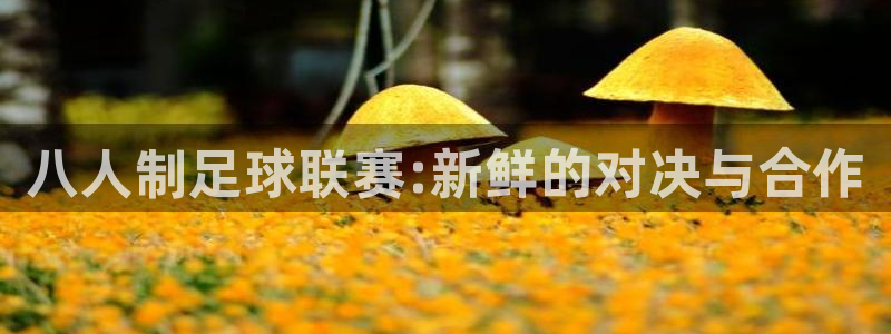  意昂2平台登录：八人制足球联赛:新鲜的对决与合作
