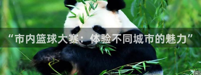  意昂2登录：“市内篮球大赛：体验不同城市的魅力”