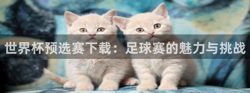  意昂2平台注册：世界杯预选赛下载：足球赛的魅力与挑战