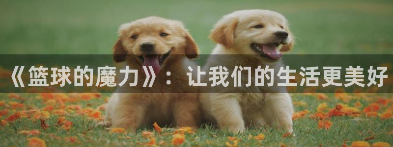 意昂2体育：《篮球的魔力》：让我们的