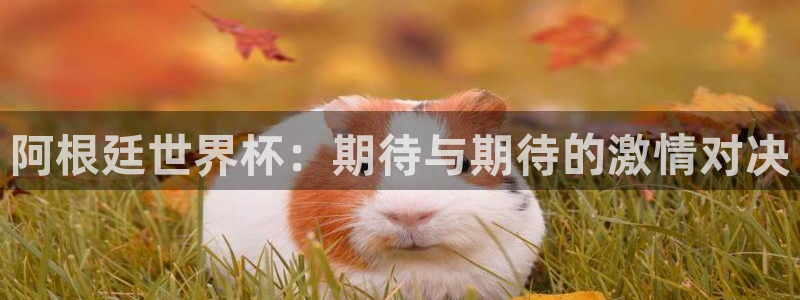 意昂2：阿根廷世界杯：期待与期待的激