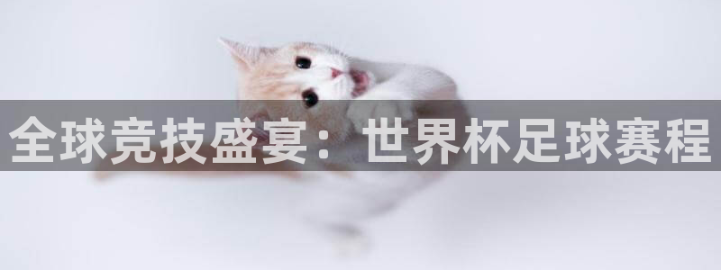 意昂2代理注册：全球竞技盛宴：世界杯