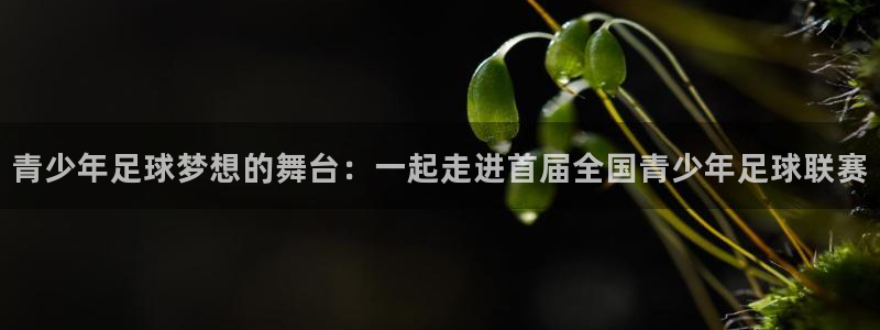  意昂2平台股东：青少年足球梦想的舞台：一起走进首届全国青少年