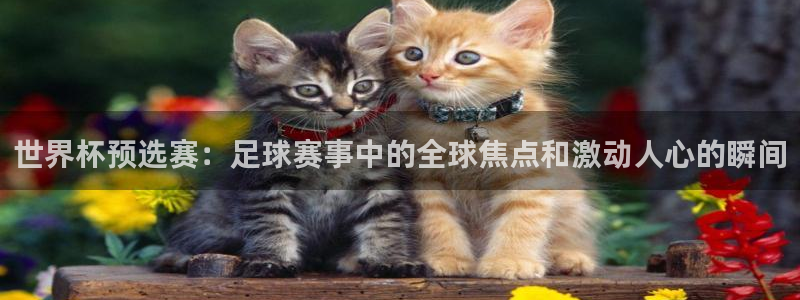 意昂2平台股东：世界杯预选赛：足球赛事中的全球焦点和激动人心