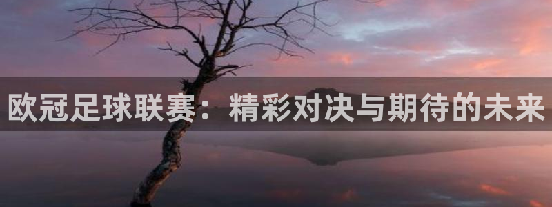 意昂2账号登录入口：欧冠足球联赛：精
