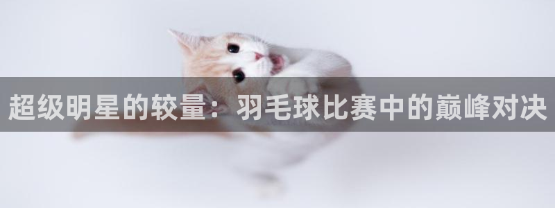  意昂2意昂2平台：超级明星的较量：羽毛球比赛中的巅峰对决