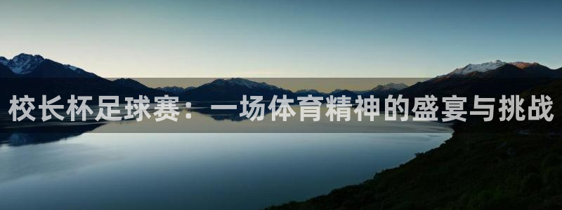  意昂2登录地址：校长杯足球赛：一场体育精神的盛宴与挑战