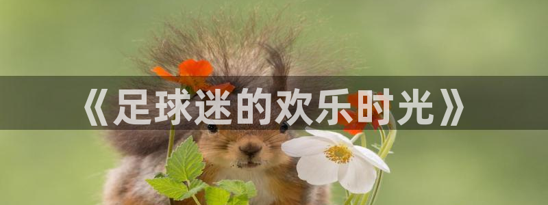  意昂2体育：《足球迷的欢乐时光》