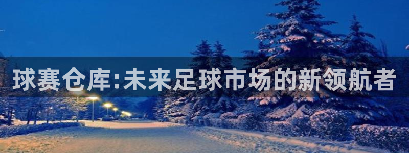  意昂2登录注册：球赛仓库:未来足球市场的新领航者