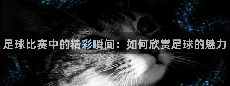 意昂2平台注册：足球比赛中的精彩瞬间